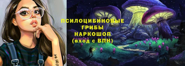 мяу мяу мука Елабуга