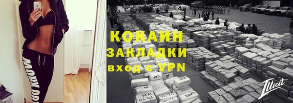 ALPHA PVP Ельня