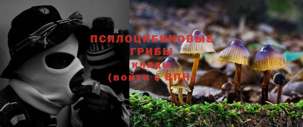 ALPHA PVP Ельня